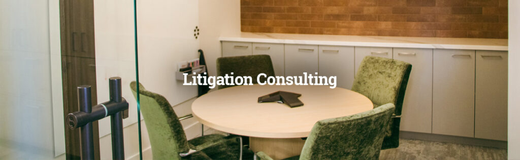 Litigation Consulting